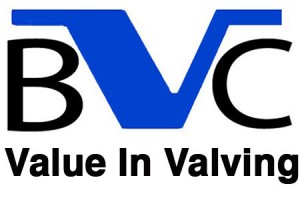 Butterfly Valves & Controls, Inc.
